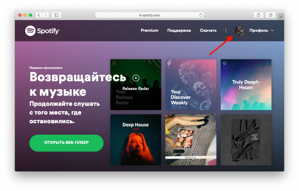 Tutorplace ru отключить подписку на телефоне андроид. Подписка спотифай. Как отключить подписку Spotify. Оплата подписки спотифай. Подписка Spotify Premium.